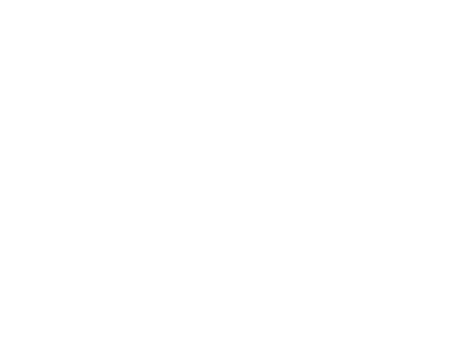 LOGOTIPO VILLA LUZ